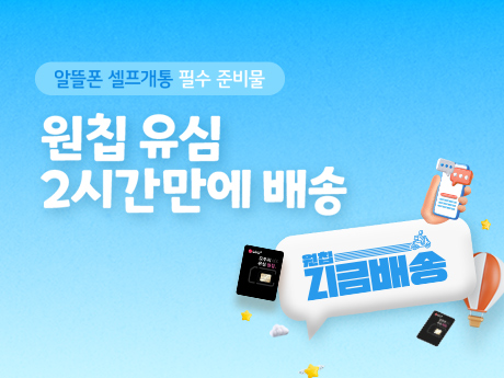 6월 원칩 지금배송!